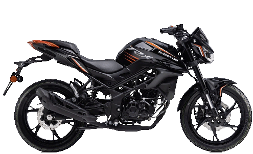 QJ MOTOR TRX 125cc