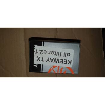 KEEWAY TX oil filter D2.1