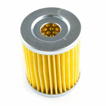 Pegasus 300 Oil Filter D2.1