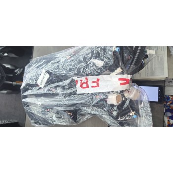 LEXMOTO RT1 WIRING LOAM