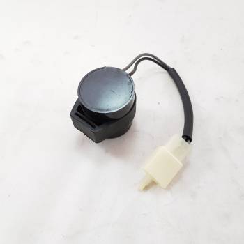 Exactly 125cc Indicator Relay C1.1