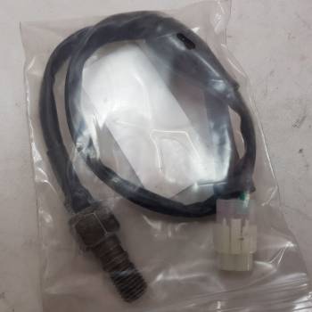 LSM 125cc Rear Brake Switch C3.2